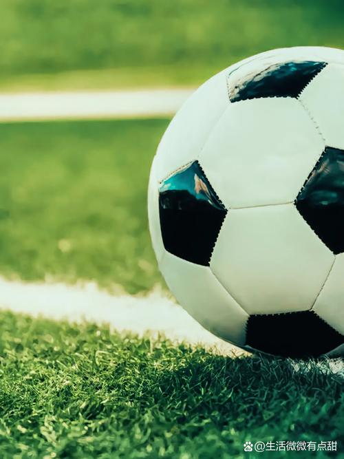 球探体育比分触屏版使用流程示意图